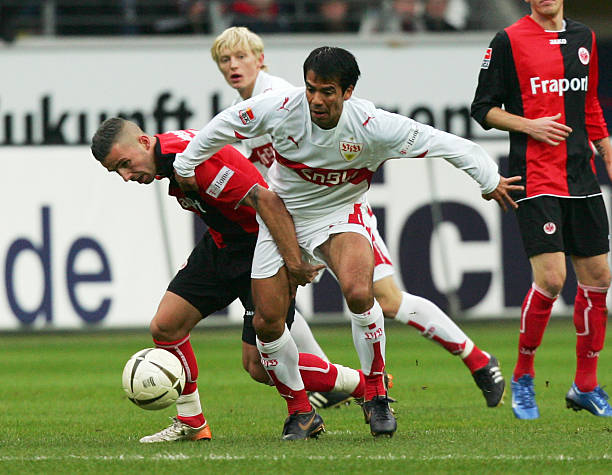 励着众多年 励着众多年