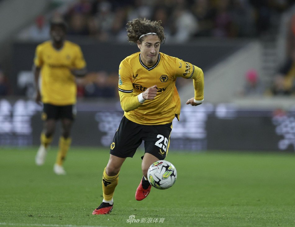 我国幼狮队 我国幼狮队